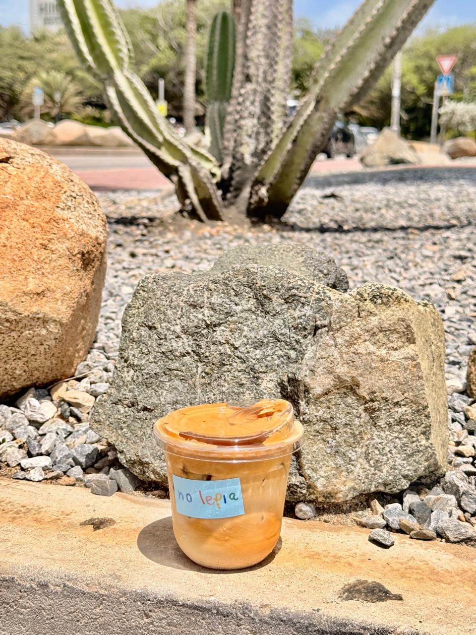 Iced No Lepia drink in front of a cactus in Aruba